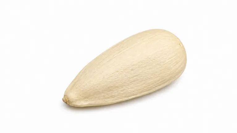 Be A Seed? on Roblox